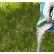 Газонные удобрения