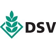 Газонная трава DSV (Германия)