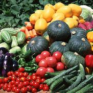 Удобрения для овощных культур