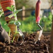 Универсальные удобрения